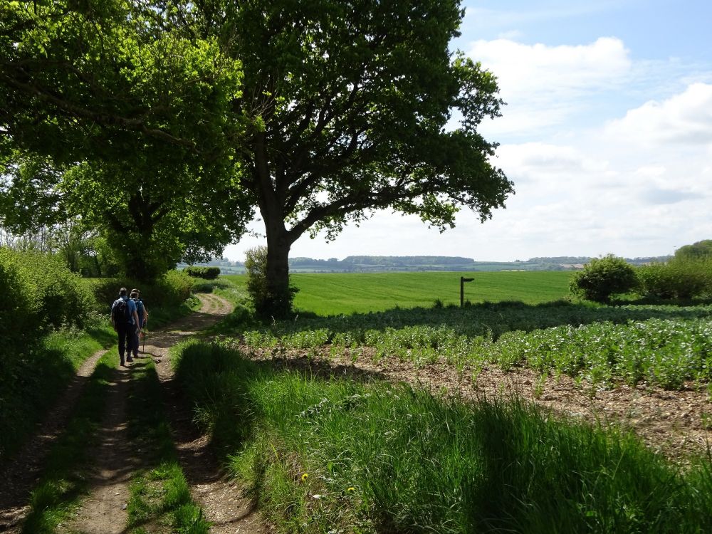 Three people walking along a farm track at the edge of field, with a way marker in the near distance. 