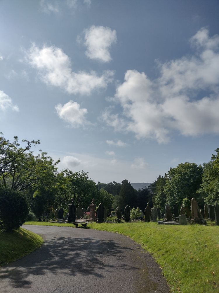 Blue sky with light clouds above the trees.