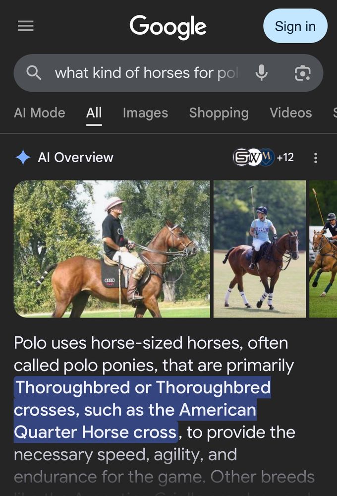 Screenshot of Google AI response to “what kind of horses for polo?” “Polo uses horse-sized horses.”