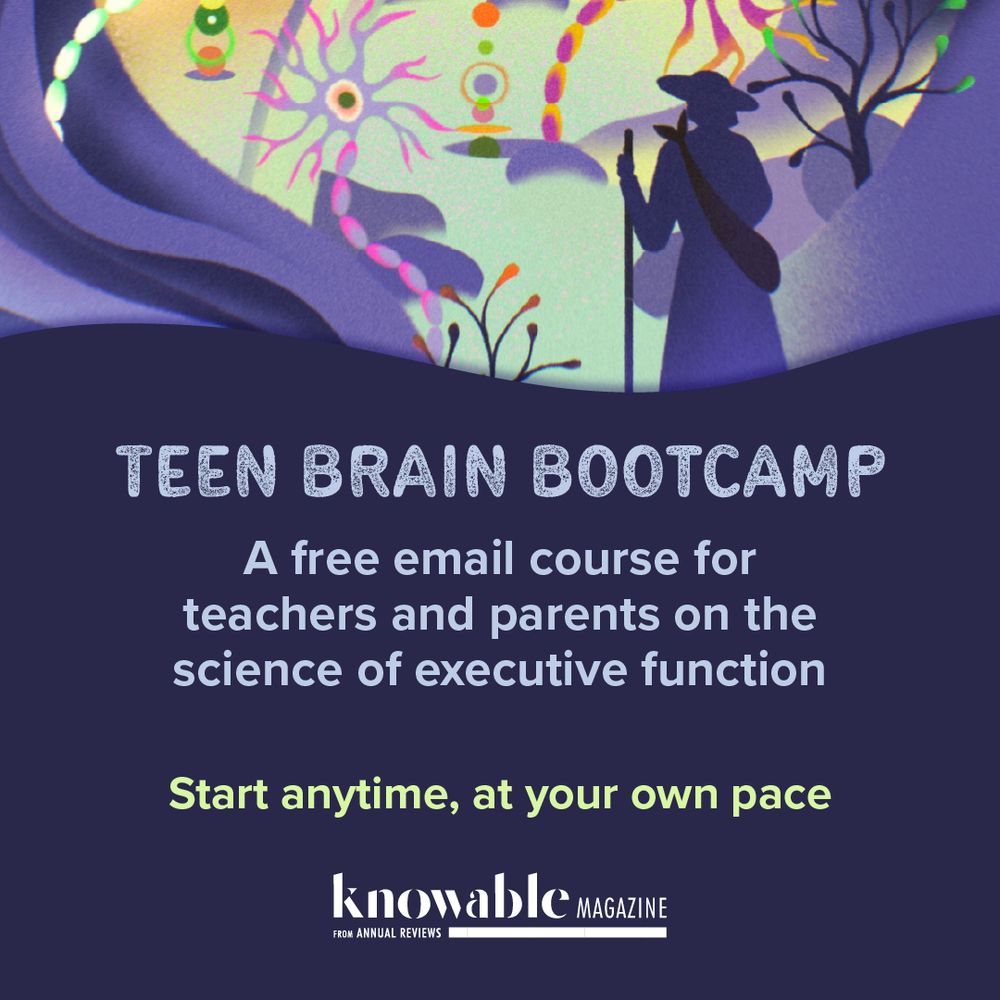 TEEN BRAIN BOOTCAMP: A free email course course for for teachers and parents on the science of executive function Start anytime, at your own pace 
