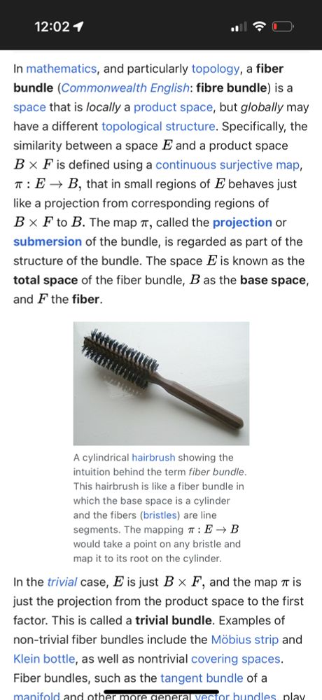 A screenshot of the Fiber Bundle wikipedia article which opens with inscrutable math gibberish, then tries to relate the math gibberish to a hairbrush. It does not help the reader to understand.