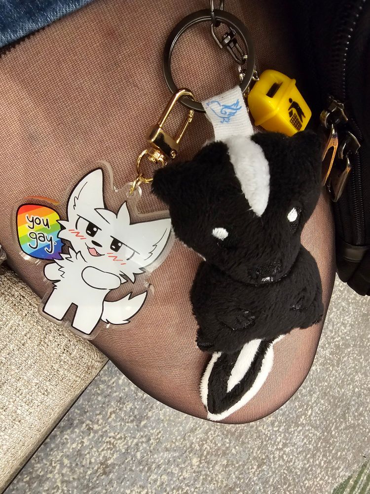 Picture of a skunk and boy kisser keychain accessories. 