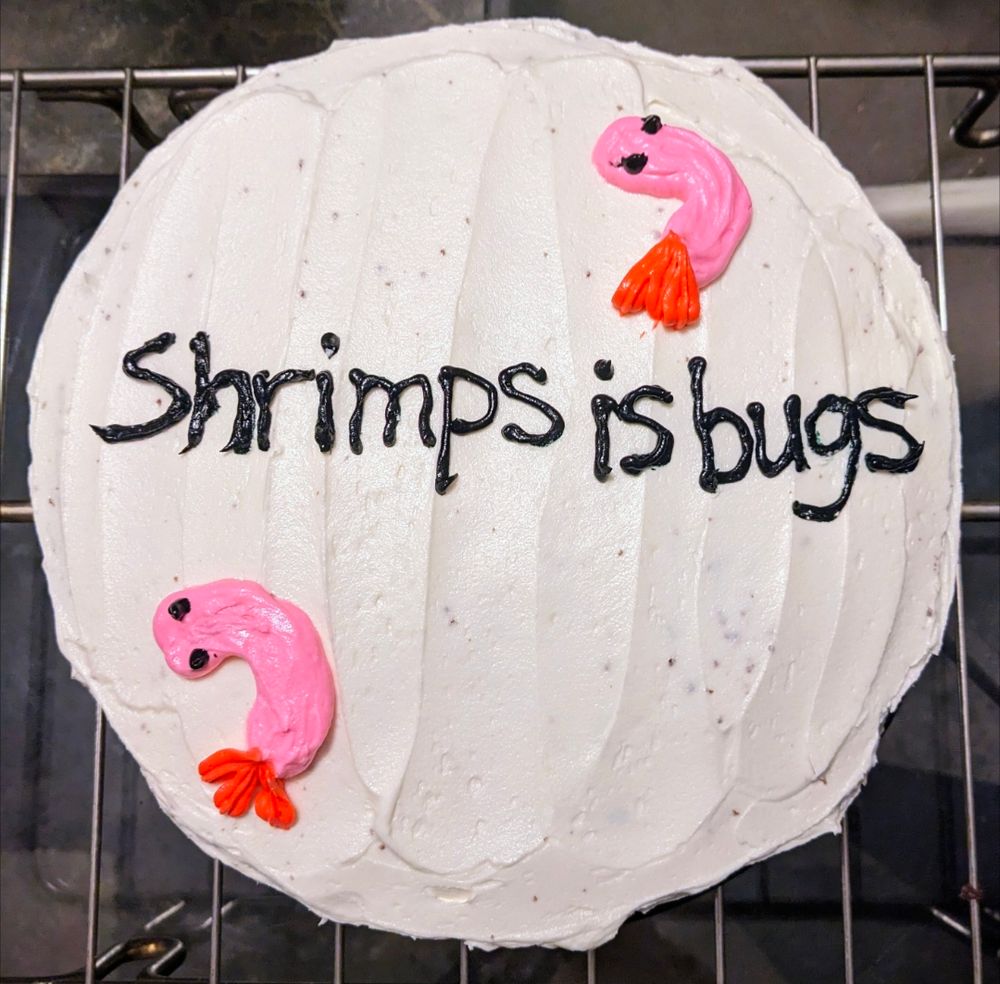 A layer cake with white icing that says Shrimps is bugs in black icing and has two very rudimentary dumb looking shrimps in pink and red icing with black eyes.