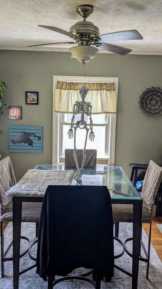 A photo taken from the next room looking into three dining room of a 3 foot disco skeleton hanging from the ceiling fan so that her feet rest on the table top. 