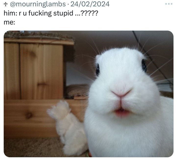 Comment image