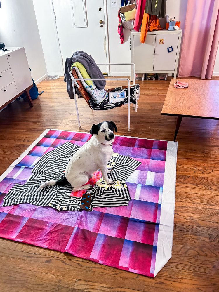 Black and white dog sitting on an unfinished quilt top. 