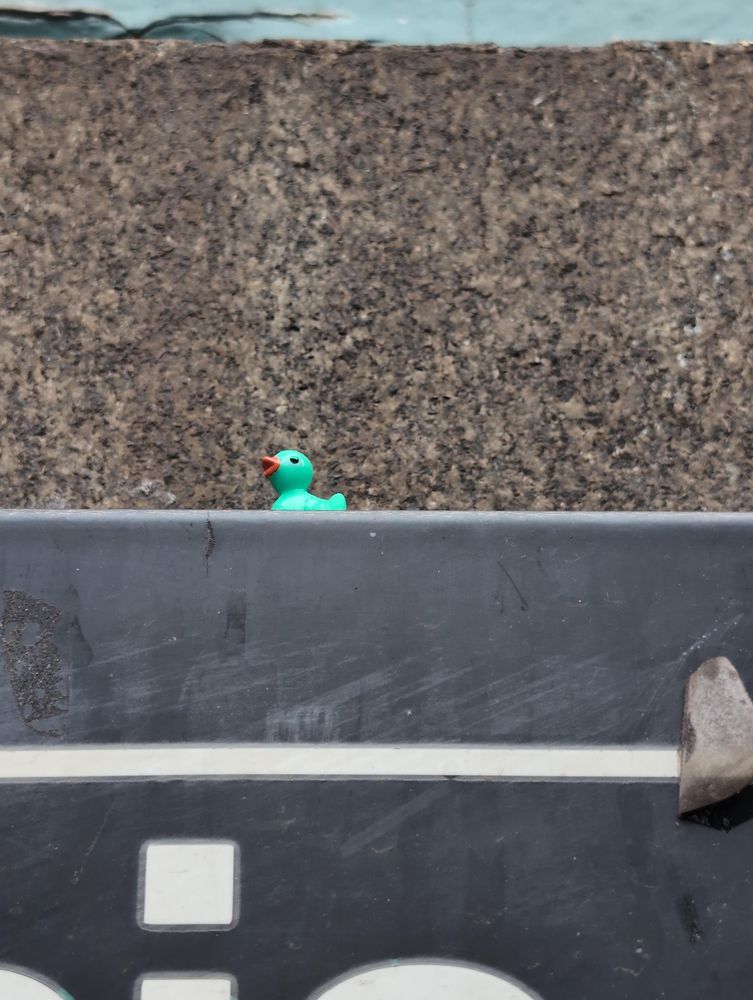 A green rubber duck placed above a typical New York City Subway sign; its small build clearly contrasted by the large font size.