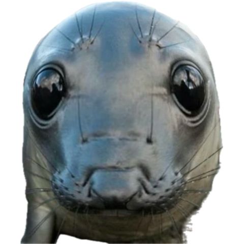 Comment image