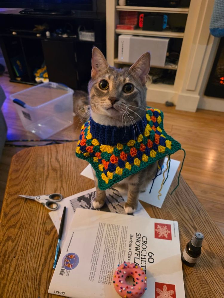A cat wearing a crocheted collar that is going to turn into a sweater