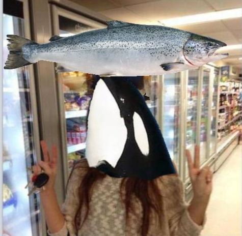 The She's so crazzzzzzzzy! Love her!!! meme but she's an orca with a salmon on her head