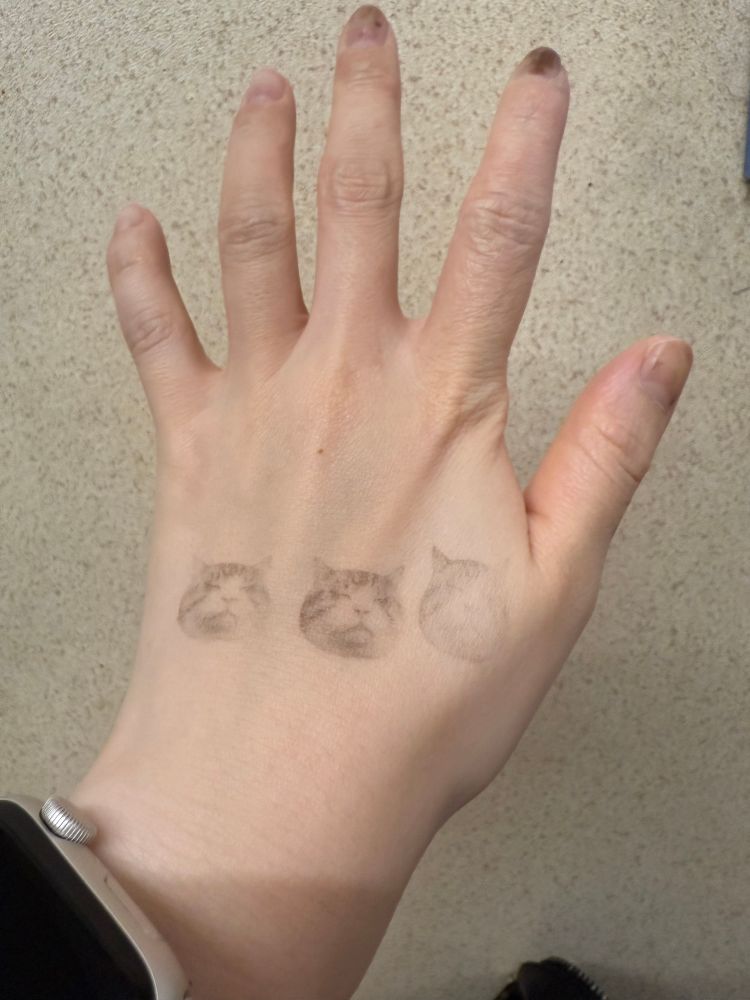 極限までリラックスしてかのように目を閉じてる猫の黒のインクのスタンプで横に三つ押された人間の左手の写真