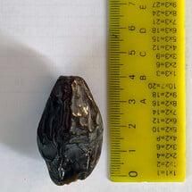 How a small piece of dried fruit embodies a world of meaning.