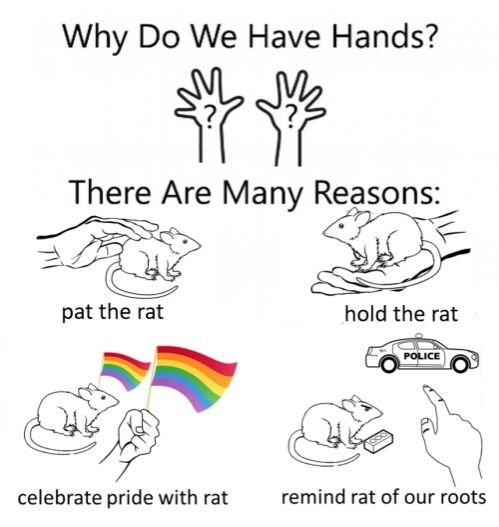 Why do we have hands
There are many reasons
Pat the rat
Hold the rat
Celebrate pride with rat
Remind rat of our roots