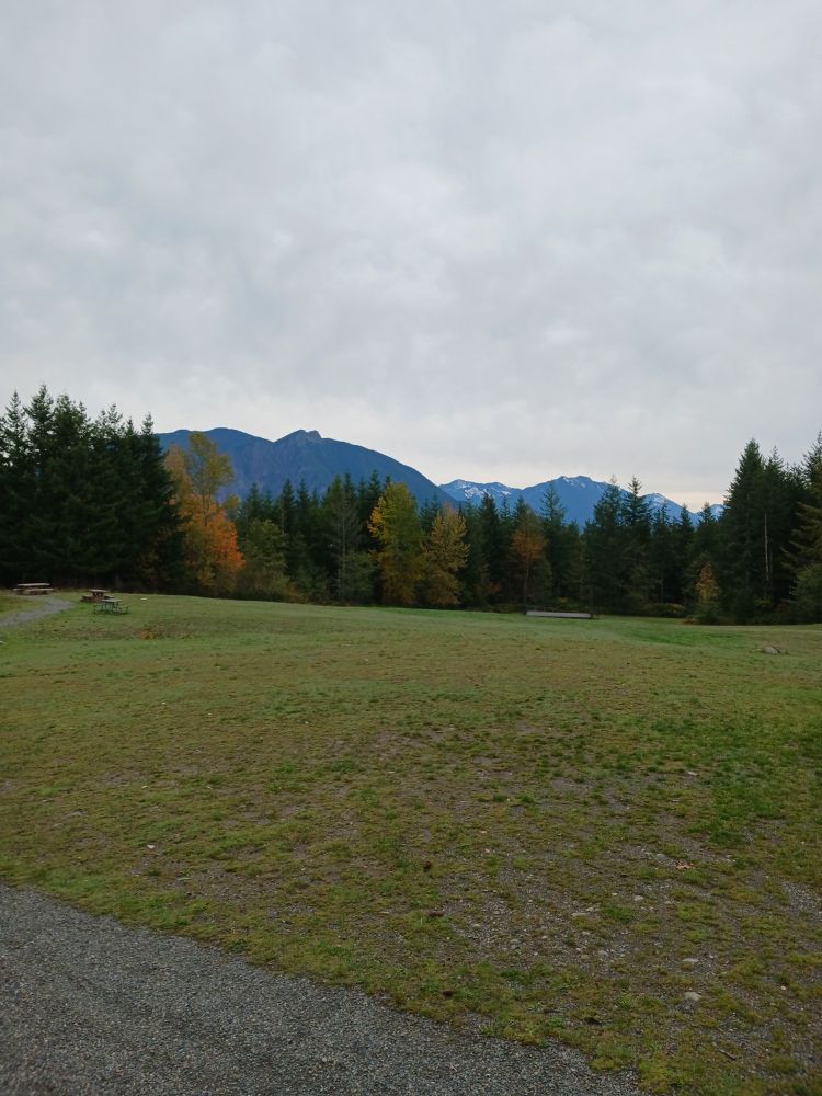View from Snoqualmie Point, near North Bend, WA.  There is a grassy field, a forest, and in the distance several mountains, including a few with caps of snow.