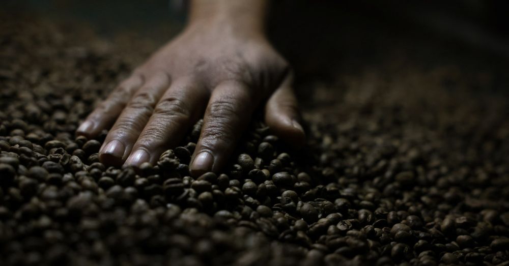 China has approved 183 new Brazilian coffee companies to export products to the Chinese market, according to a social media post of the Chinese embassy in Brazil on Saturday.