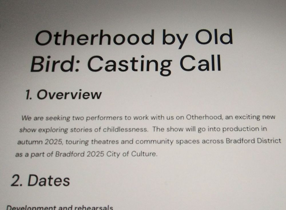 A black and white photo of a computer screen, that reads : Otherhood by Old Bird: Casting call. Below this reads - Overview. We are seeking two performers  to work with us on Otherhood an exciting new show exploring stories of childlessness. This show will go into production in autumn 2025 touring theatres and community spaces across Bradford District as a part of Bradford 2025 City of Culture.