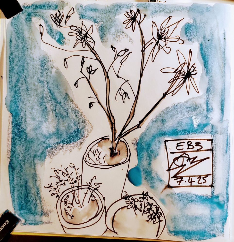 An ink sketch of a magnolia bush in a pot, next to two smaller pots with dots of herbs. The sketch is surrounded by turquoise blue. 
