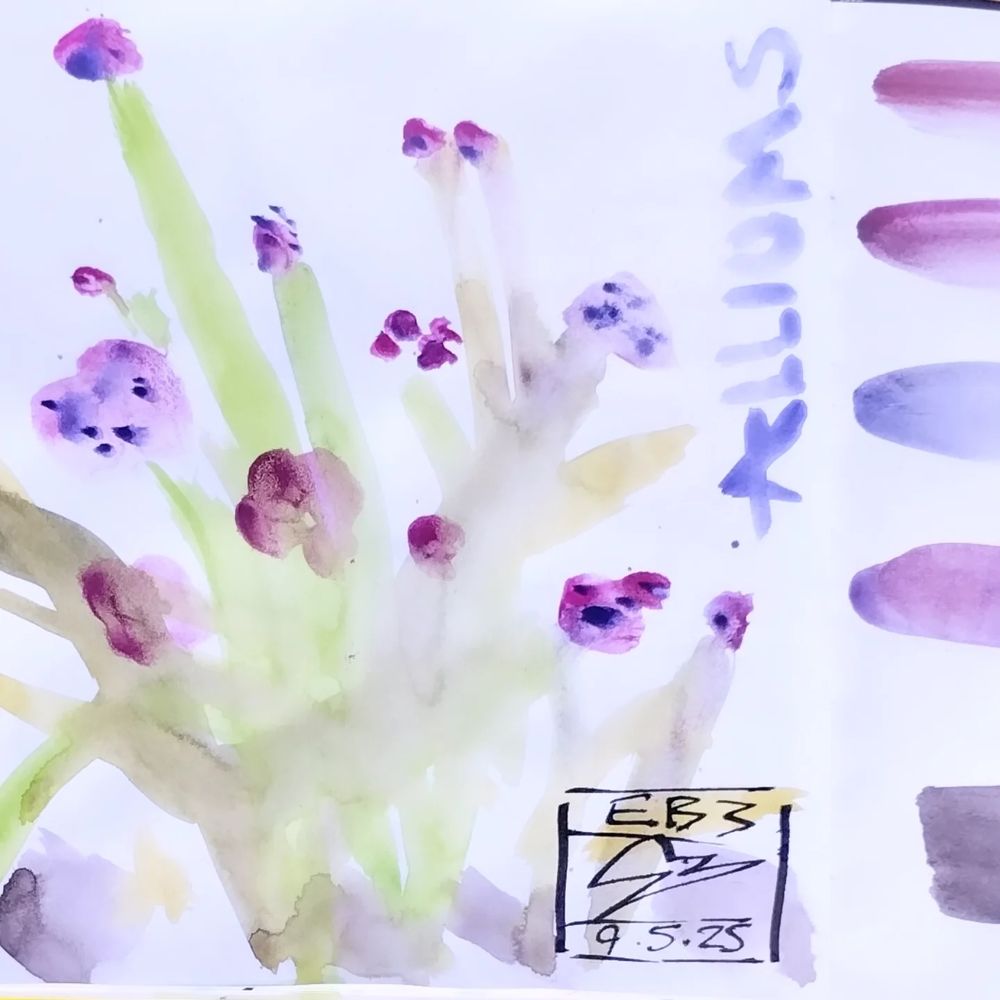 Soluble purple pink and green intense bar sketch of alliums with the word alliums at the side. Vibe is soft and dreamy 