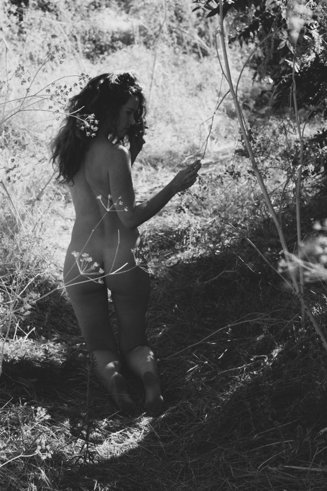 Nude woman keeling in a grass path in the woods. Her back is to the camera as she turns to grab a small branch from a close tree.