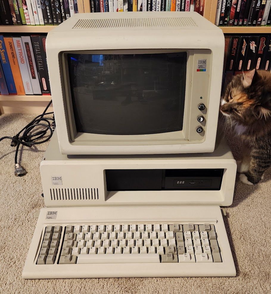 An IBM PC model 5150 in a complete setup with keyboard and monitor. A cat is inspecting the setup