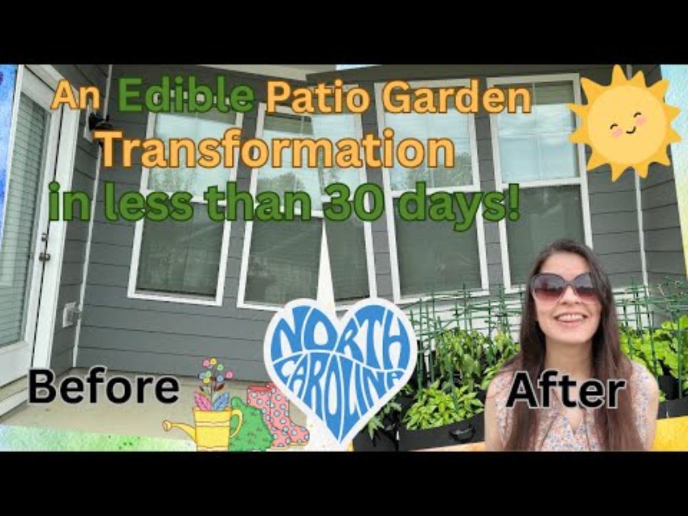 30 Day Edible Patio Garden Transformation