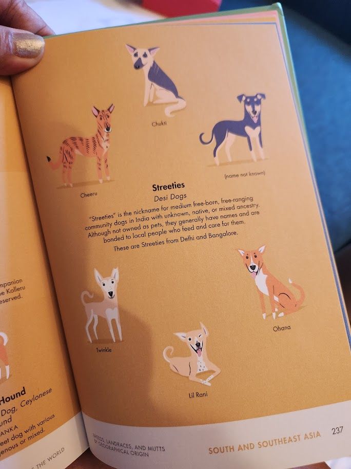 Illustrations of Streeties/Desi Dogs. Correction: It should read "from Mumbai and Bangalore" not Delhi.
