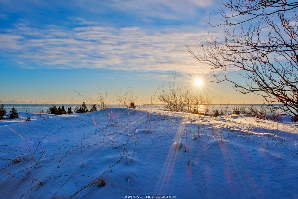 Un soleil étoile apparaît au-dessus d’une butte enneigée où il y a des élymes des sables qui transpercent la neige.