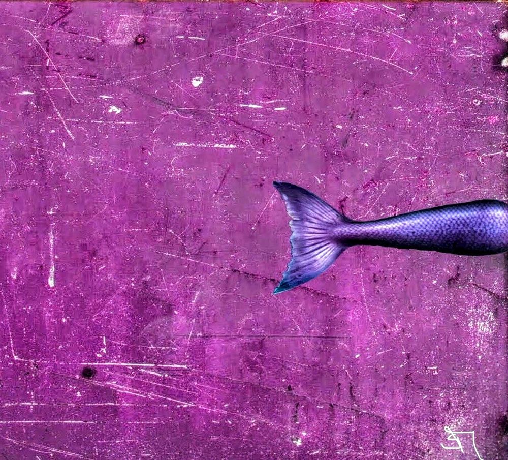 abstrakt; myart

fin