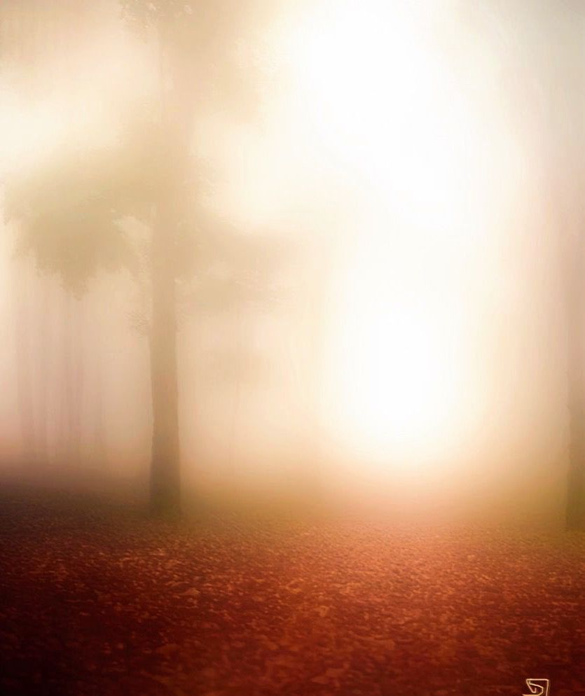 Baum in Herbstsonne; myart

„Der dunkle Herbst kehrt ein voll Frucht und Fülle, // Vergilbter Glanz von schönen Sommertagen.“ — Georg Trakl