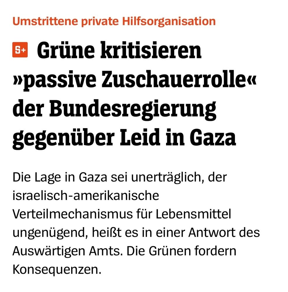 Screenshot eines Artikels aus dem SPIEGEL.