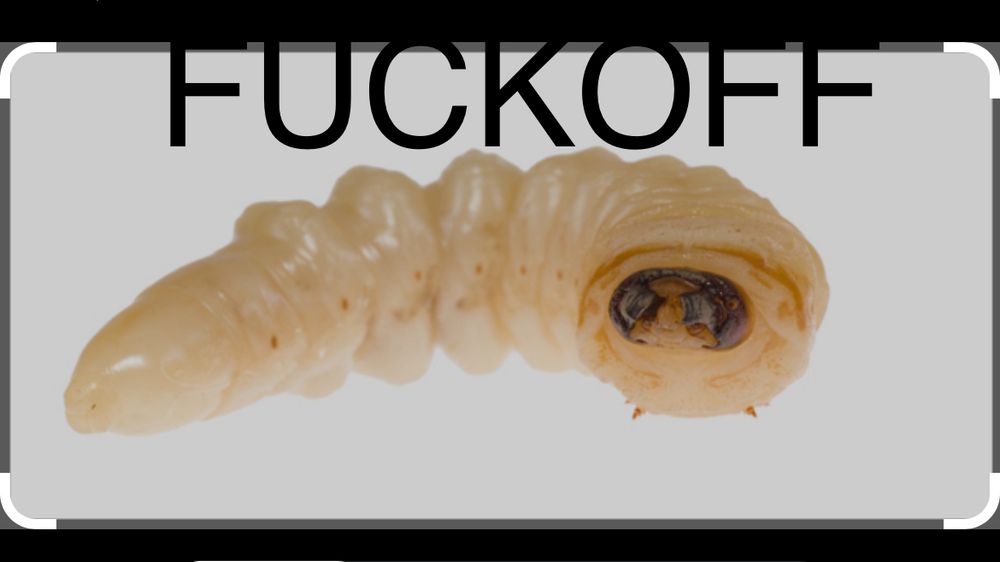 Comment image