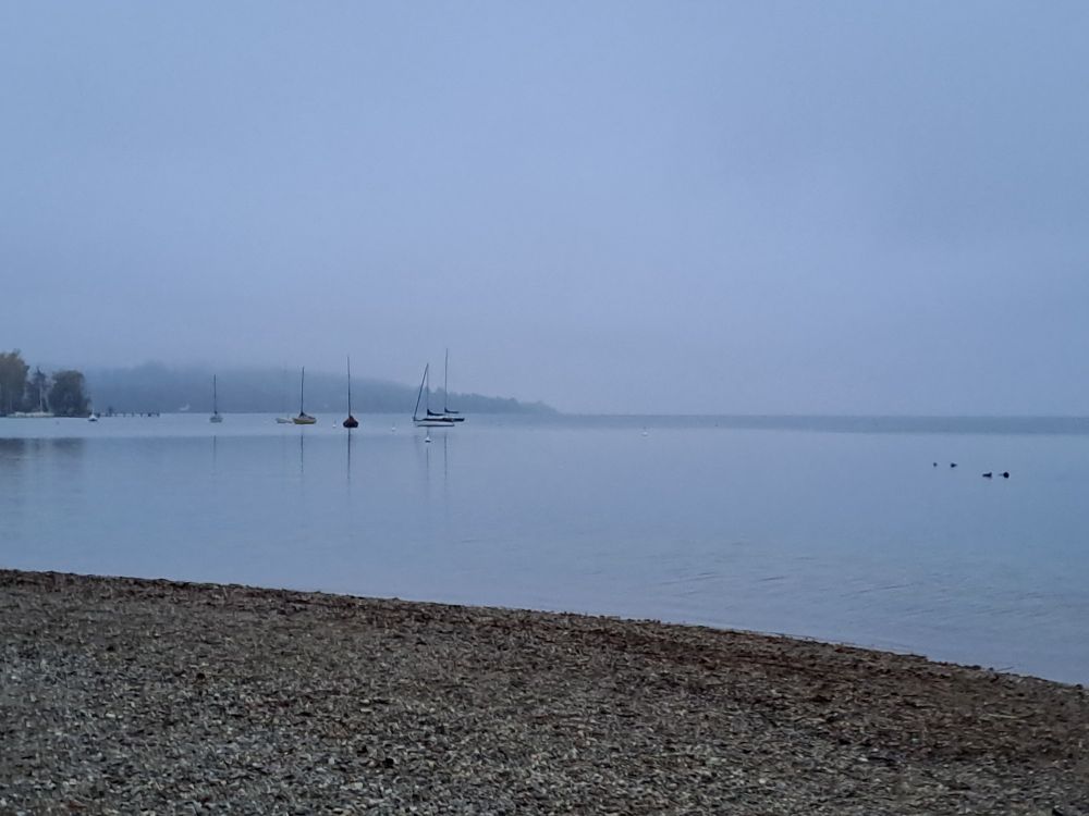 Nebengeräusche Blick auf den See mit Segelschifffsiluete 