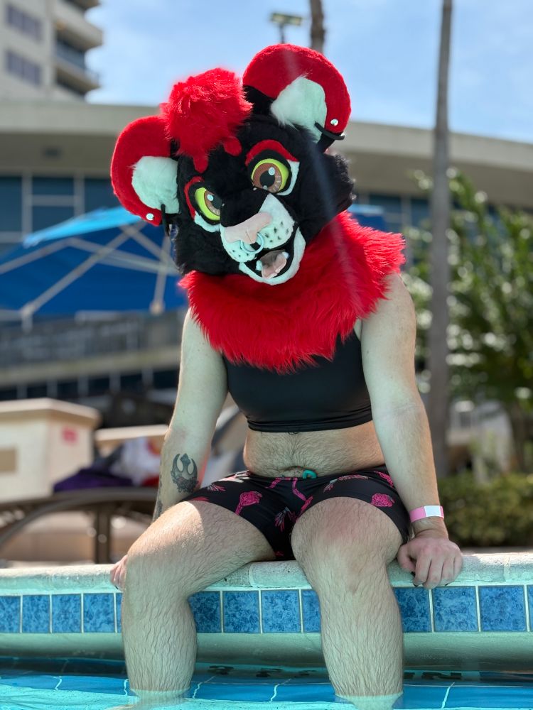 A photo of a person (me!) wearing a fursuit head at the pool