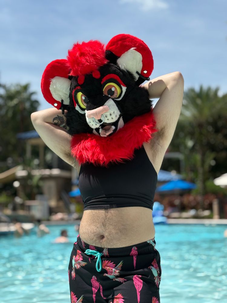 A photo of a person (me!) wearing a fursuit head at the pool