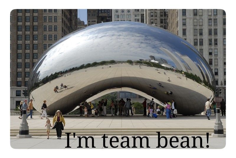 A photo of the Chicago bean with a caption reading "I'm team bean."