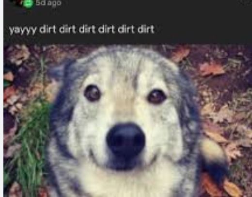 Comment image