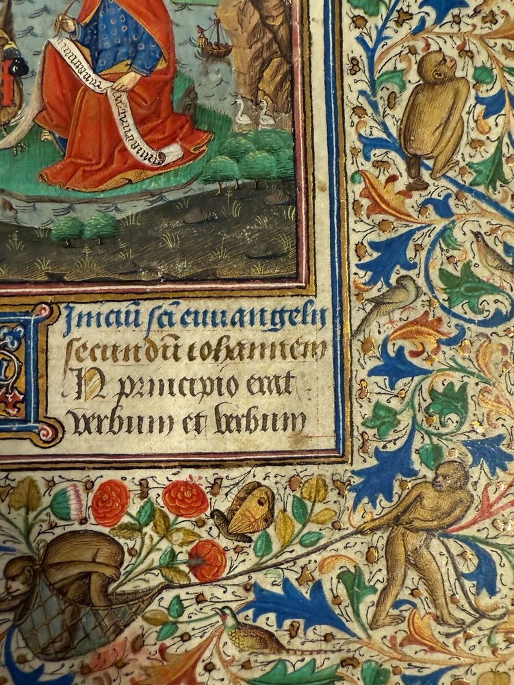 Monkeys playing in the margins of the same book of hours