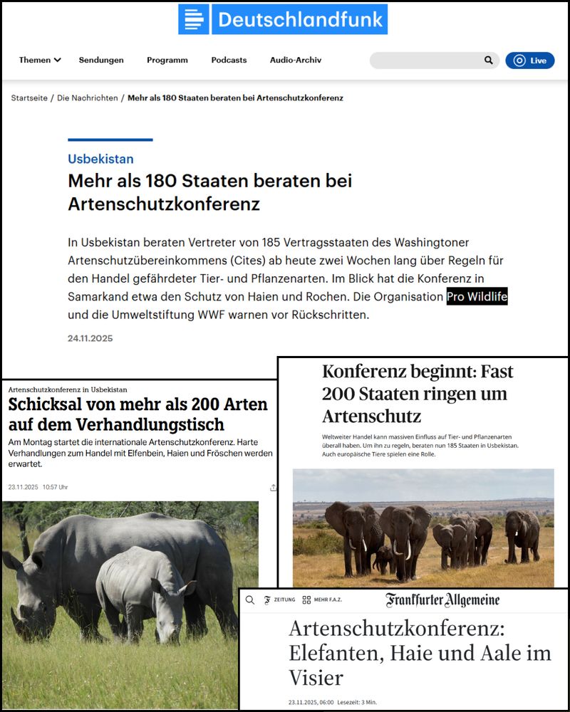 Screenshots von Presseartikeln zur CITES-Konferenz