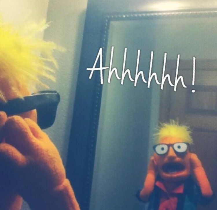 Gary, an orange muppet whatnot with yellow feathery hair and oversized black m-rimmed glasses, is wearing a red, black, and green bowling shirt and is looking in the mirror with his hands on his face screaming 