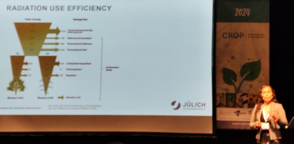 Radiation use efficiency S. Matsubara