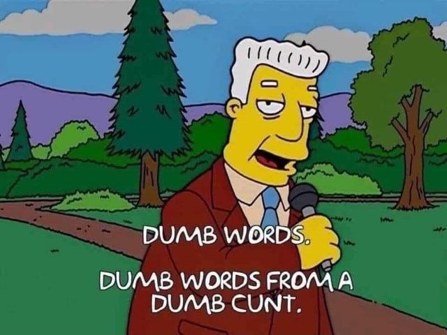 Kent Brockman ' dumb words from a dumb cunt' meme