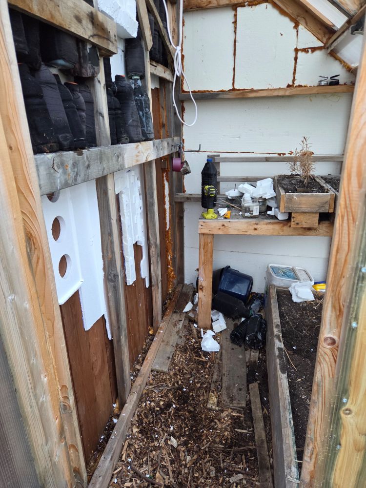 Greenhouse interior showing a wall of wood and Styrofoam with black bottles on it.
