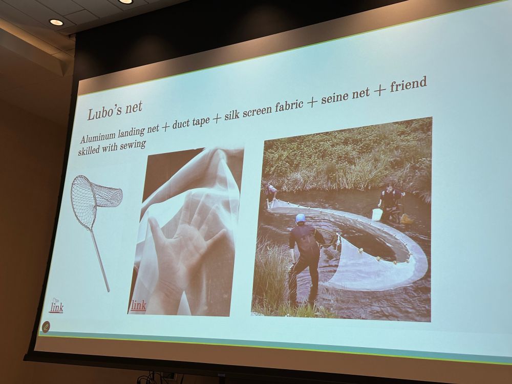 Ingredients for building a powerful bespoke insect net, Masner style