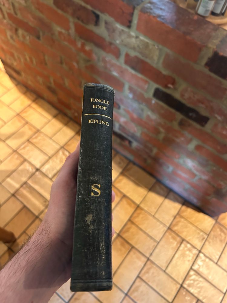 An image of the spine of the book 