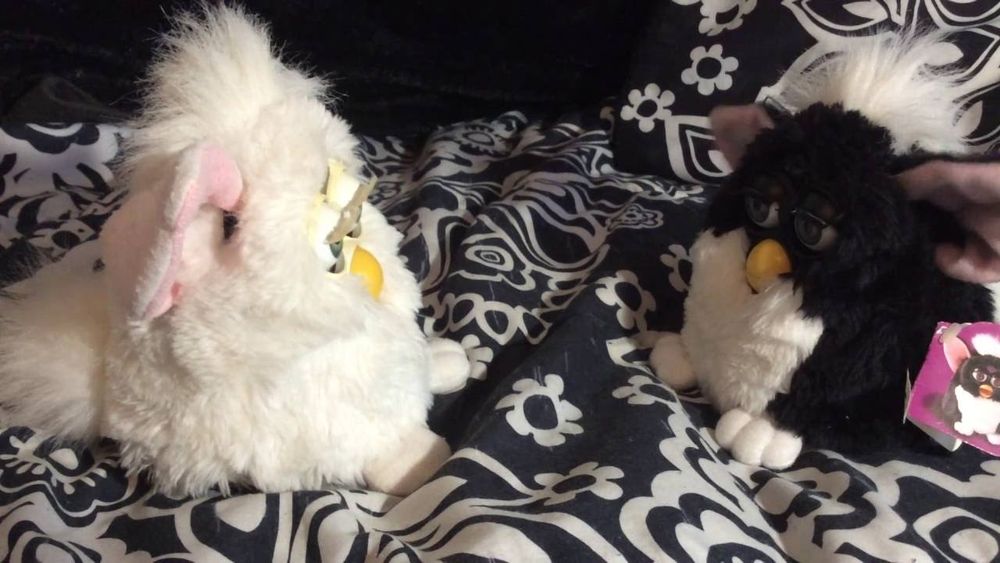 two furbies talk to each other. 