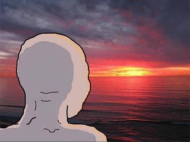 Wojak de dos, regardant un coucher de soleil à l'horizon.