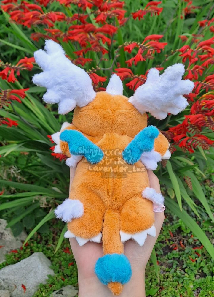 Mega Dragonite beanie back view