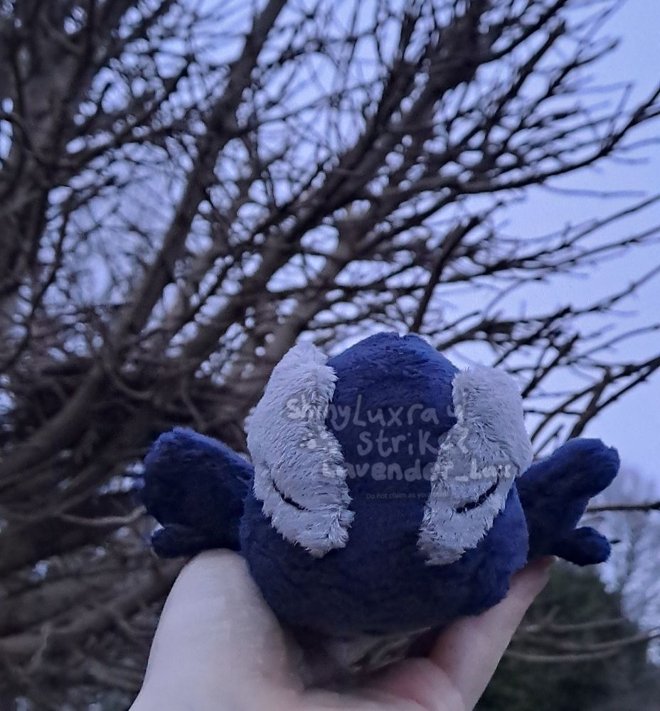 A shadow Lugia (or dark Lugia, a very dark blue version of Lugia with grey accents) kuttari (beanie) held up against a backdrop of dark tree branches and a gloomy morning sky. This picture is taken from its front angle.