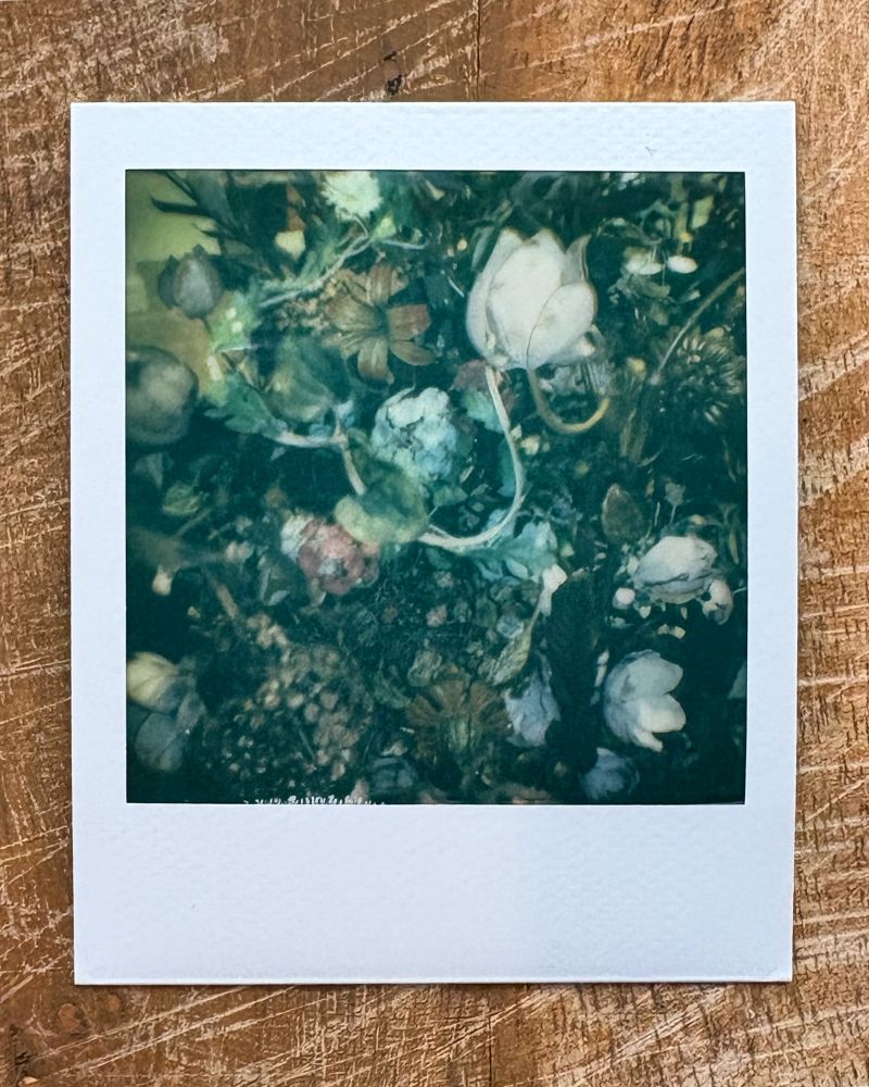 Green Cave, 2025 polaroid photo