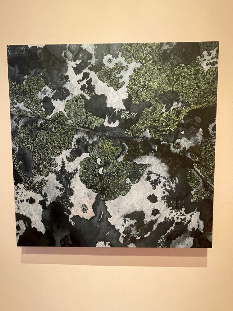 An acrylic on canvas hyper-realistic painting of a grey and black cracked, weathered stone encrusted with verdant green lichen.